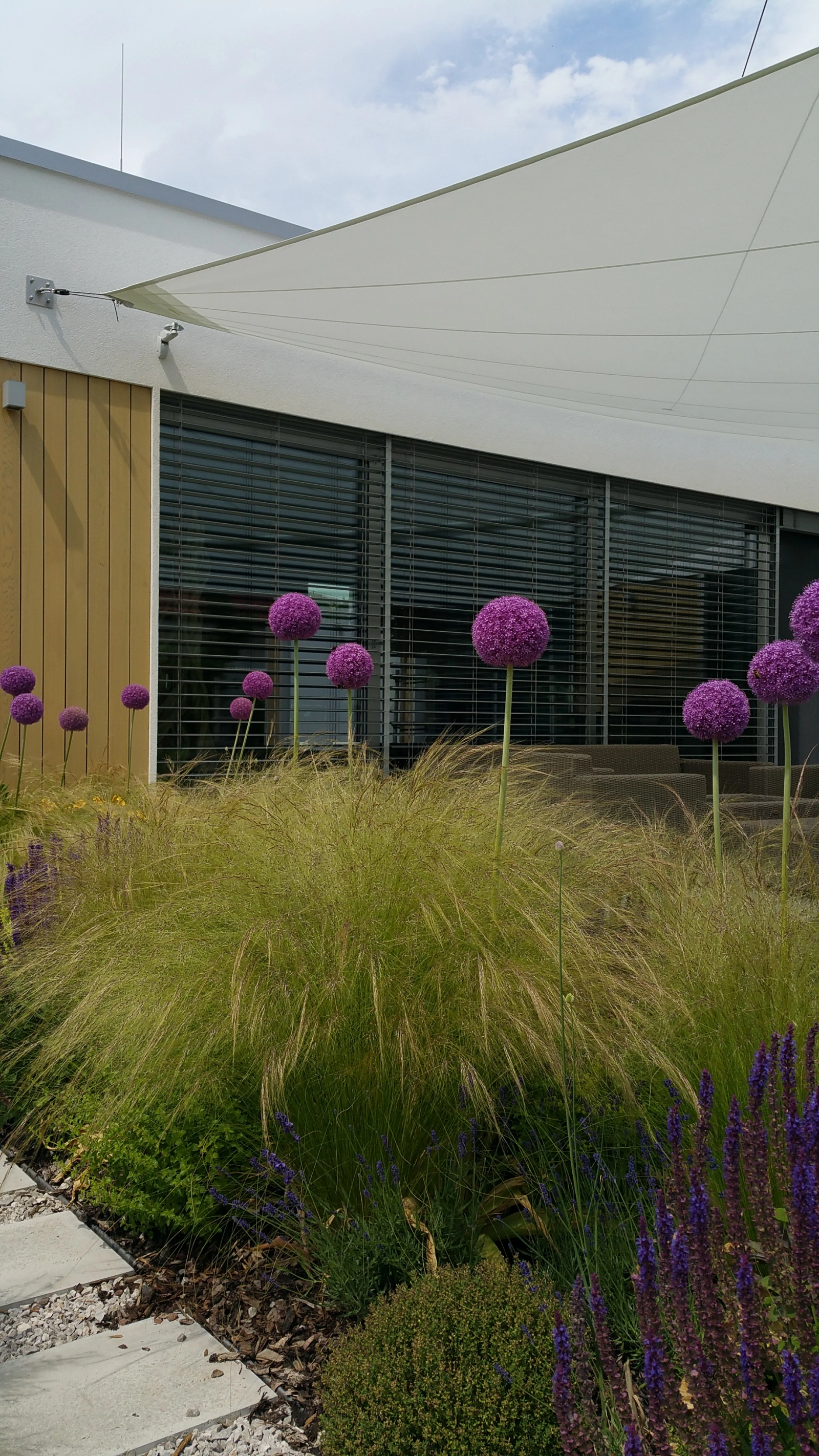 Slnečné plachty Soliday C