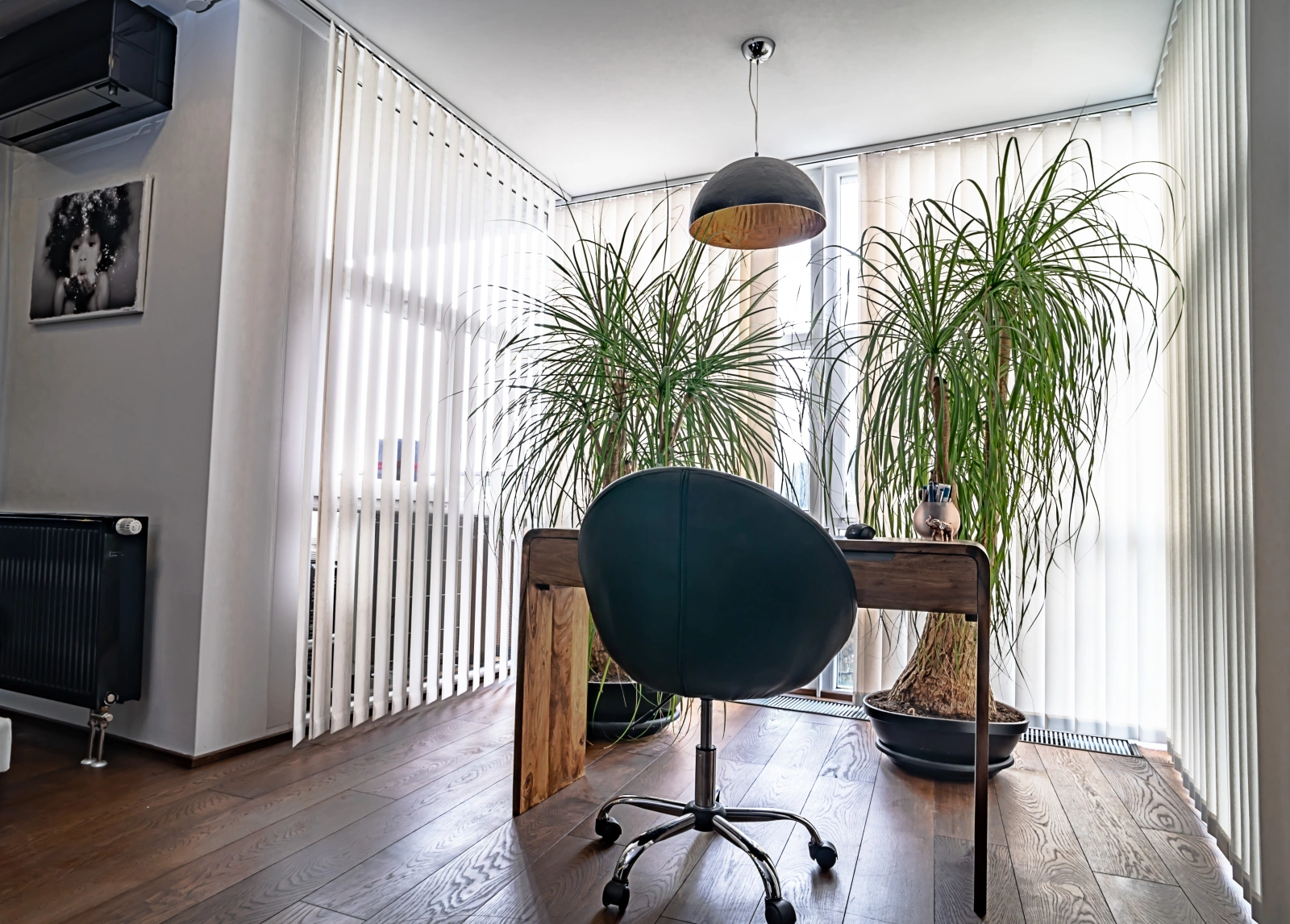 Vertikálne žalúzie